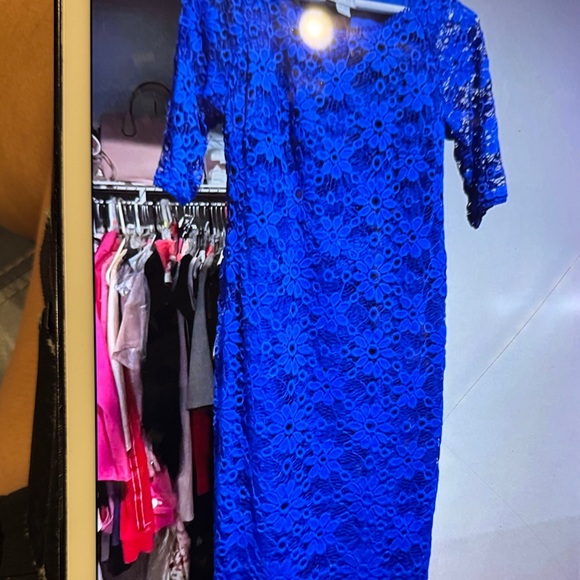 Rabbit Rabbit Rabbit Royal Blue Lace Dress - Picture 1 of 6